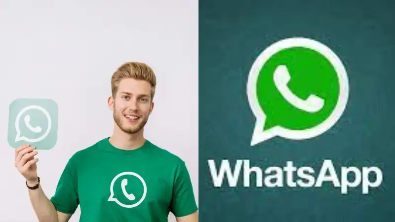 You are currently viewing Master WhatsApp Logicalshout: Boost Privacy, Speed, and Strategy
