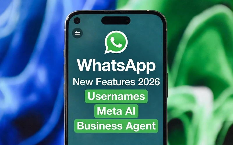 LogicalShout updates WhatsApp